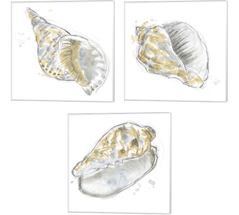 Citron Shell Sketch 3 Piece Canvas Print Set by June Erica Vess