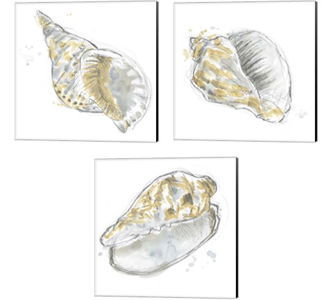 Citron Shell Sketch 3 Piece Canvas Print Set by June Erica Vess