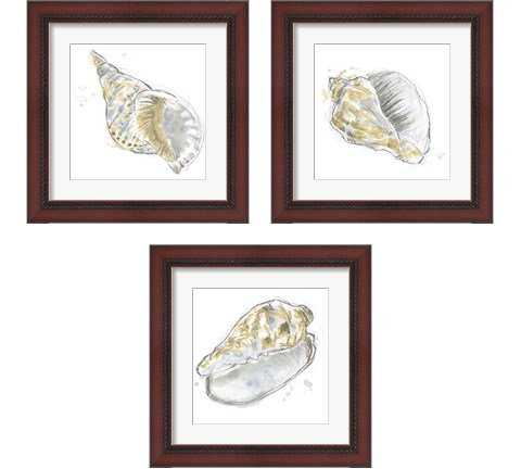 Citron Shell Sketch 3 Piece Framed Art Print Set by June Erica Vess