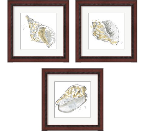 Citron Shell Sketch 3 Piece Framed Art Print Set by June Erica Vess
