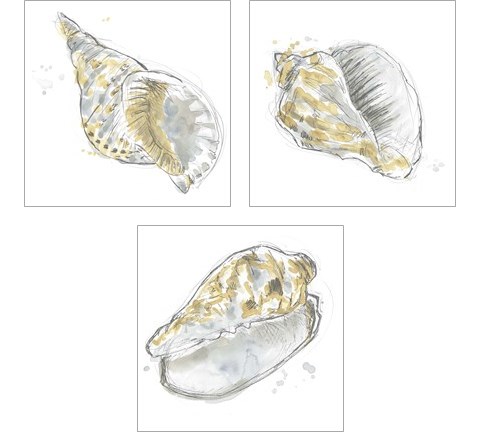 Citron Shell Sketch 3 Piece Art Print Set by June Erica Vess