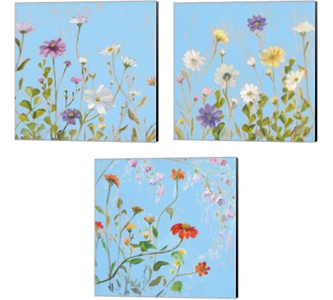 Wild Flowers on Cerulean 3 Piece Canvas Print Set by Sandra Iafrate