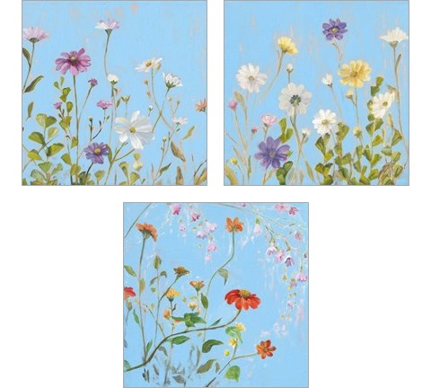 Wild Flowers on Cerulean 3 Piece Art Print Set by Sandra Iafrate