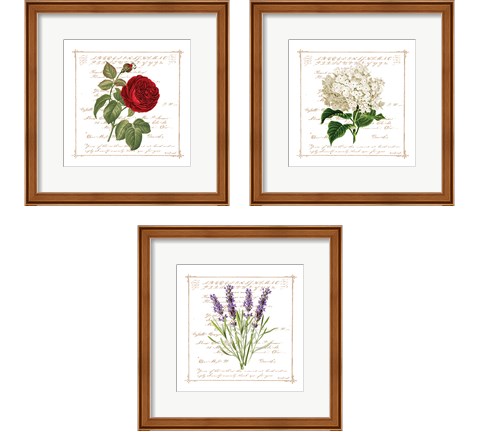 Floral 3 Piece Framed Art Print Set by Jennifer Pugh