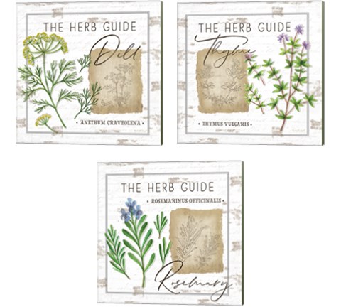 Herb Guide 3 Piece Canvas Print Set by Jennifer Pugh