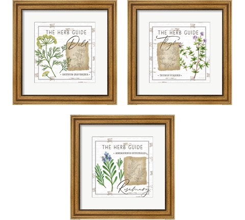 Herb Guide 3 Piece Framed Art Print Set by Jennifer Pugh