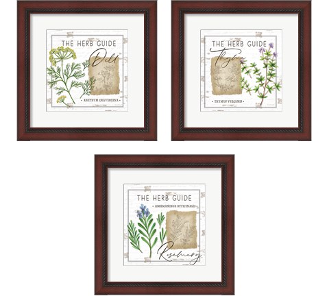 Herb Guide 3 Piece Framed Art Print Set by Jennifer Pugh