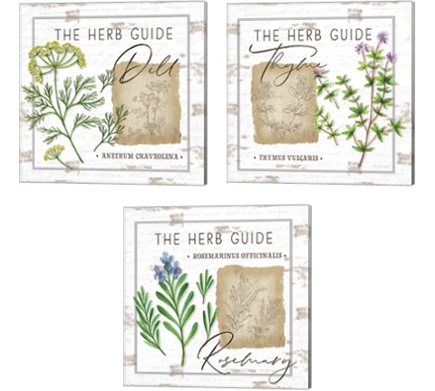 Herb Guide 3 Piece Canvas Print Set by Jennifer Pugh
