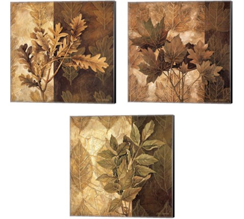 Leaf Patterns 3 Piece Canvas Print Set by Linda Thompson