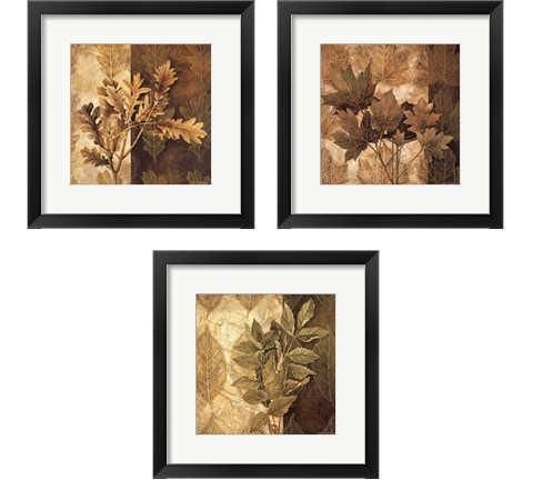 Leaf Patterns 3 Piece Framed Art Print Set by Linda Thompson