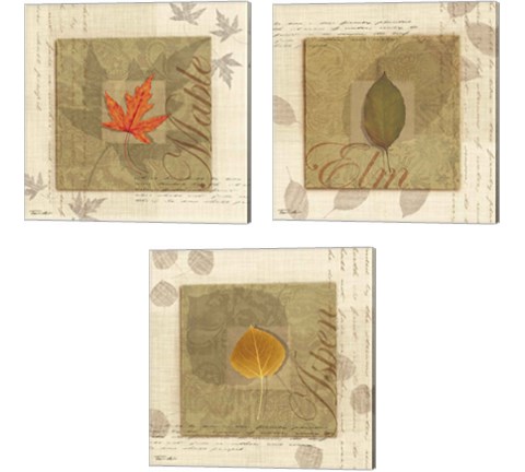 Leaf 3 Piece Canvas Print Set by Tandi Venter