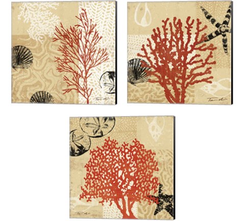 Coral Impressions 3 Piece Canvas Print Set by Tandi Venter