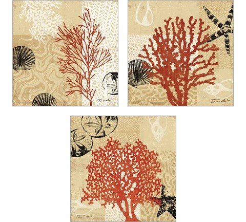 Coral Impressions 3 Piece Art Print Set by Tandi Venter