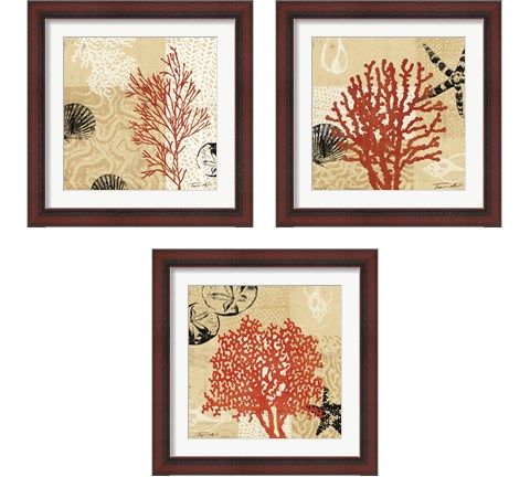 Coral Impressions 3 Piece Framed Art Print Set by Tandi Venter