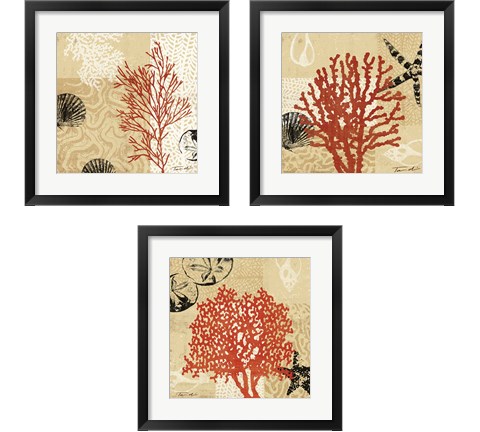 Coral Impressions 3 Piece Framed Art Print Set by Tandi Venter