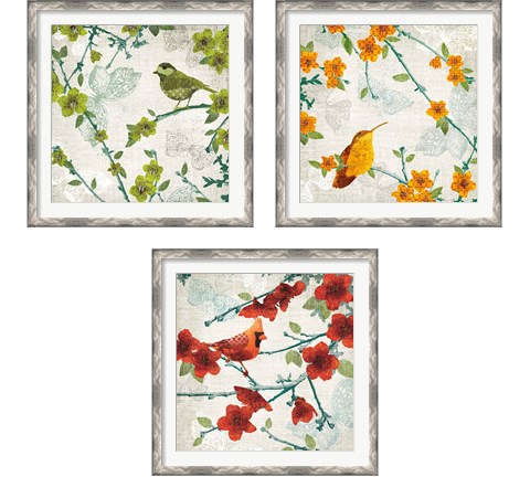 Birds and Butterflies 3 Piece Framed Art Print Set by Tandi Venter