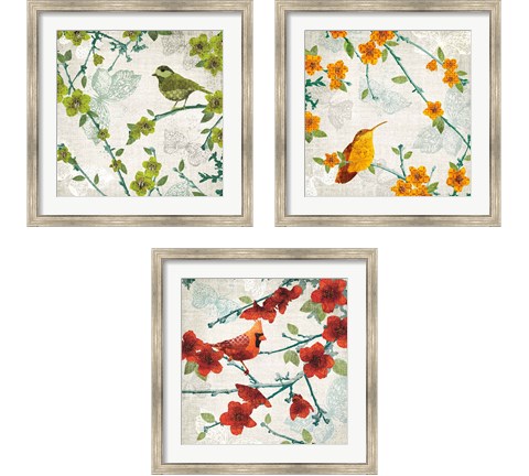 Birds and Butterflies 3 Piece Framed Art Print Set by Tandi Venter