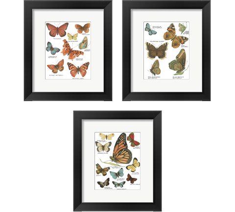 Botanical Butterflies Postcard White 3 Piece Framed Art Print Set by Wild Apple Portfolio