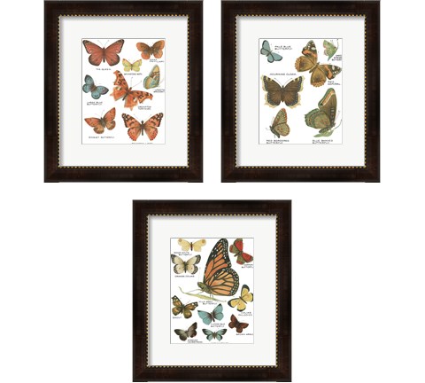 Botanical Butterflies Postcard White 3 Piece Framed Art Print Set by Wild Apple Portfolio