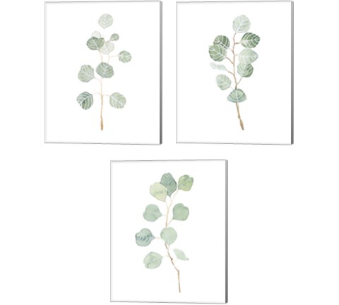 Soft Eucalyptus Branch 3 Piece Canvas Print Set by Emma Scarvey