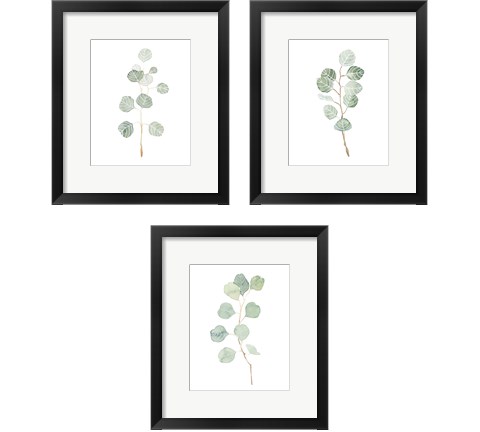 Soft Eucalyptus Branch 3 Piece Framed Art Print Set by Emma Scarvey