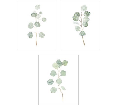 Soft Eucalyptus Branch 3 Piece Art Print Set by Emma Scarvey