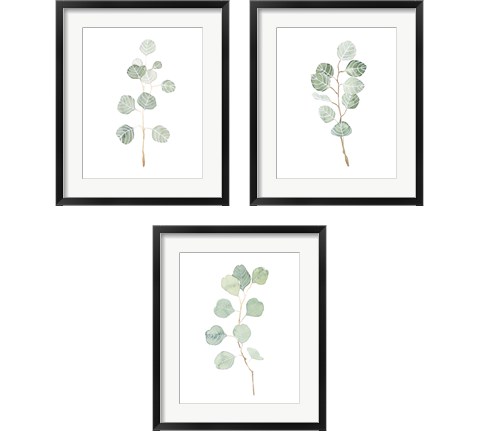 Soft Eucalyptus Branch 3 Piece Framed Art Print Set by Emma Scarvey