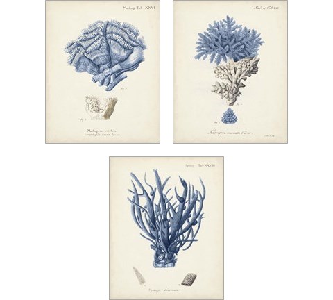 Antique Coral in Navy 3 Piece Art Print Set by Johann Esper