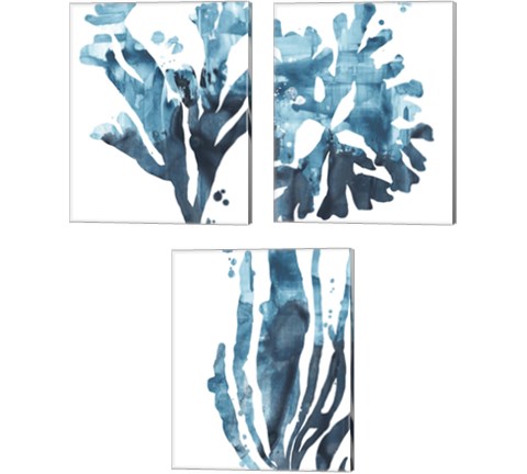 Inkwash Kelp 3 Piece Canvas Print Set by June Erica Vess