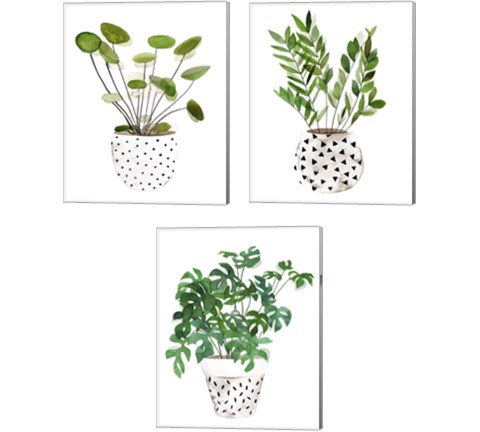 Plant in a Pot 3 Piece Canvas Print Set by Melissa Wang