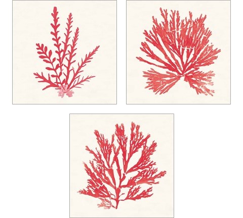 Pacific Sea Mosses Red 3 Piece Art Print Set by Wild Apple Portfolio