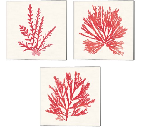 Pacific Sea Mosses Red 3 Piece Canvas Print Set by Wild Apple Portfolio
