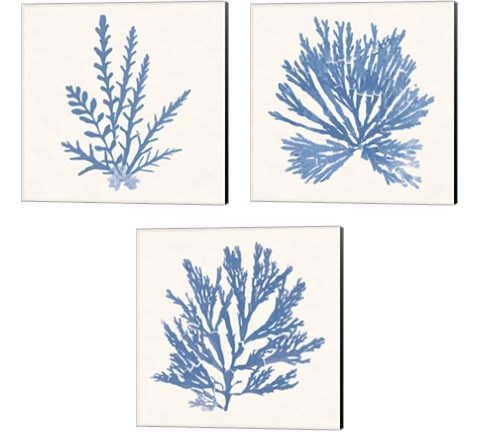 Pacific Sea Mosses Light Blue 3 Piece Canvas Print Set by Wild Apple Portfolio