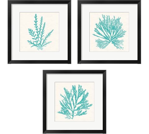 Pacific Sea Mosses Aqua 3 Piece Framed Art Print Set by Wild Apple Portfolio