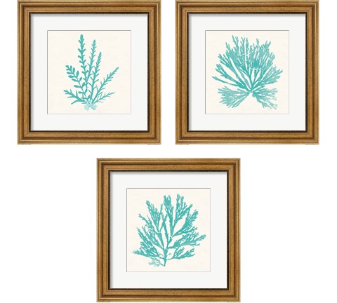 Pacific Sea Mosses Aqua 3 Piece Framed Art Print Set by Wild Apple Portfolio