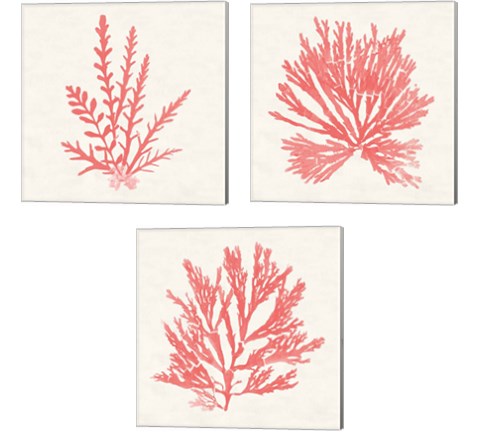 Pacific Sea Mosses Coral 3 Piece Canvas Print Set by Wild Apple Portfolio