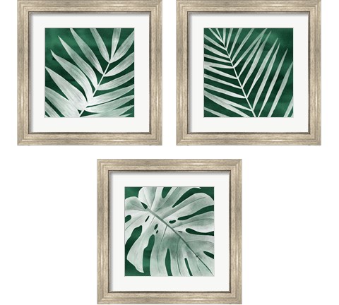 Velvet Palm 3 Piece Framed Art Print Set by Grace Popp