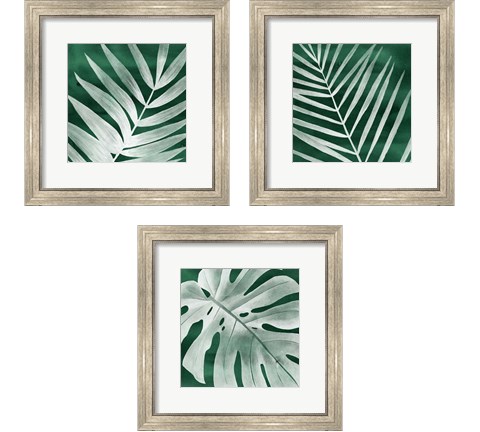 Velvet Palm 3 Piece Framed Art Print Set by Grace Popp