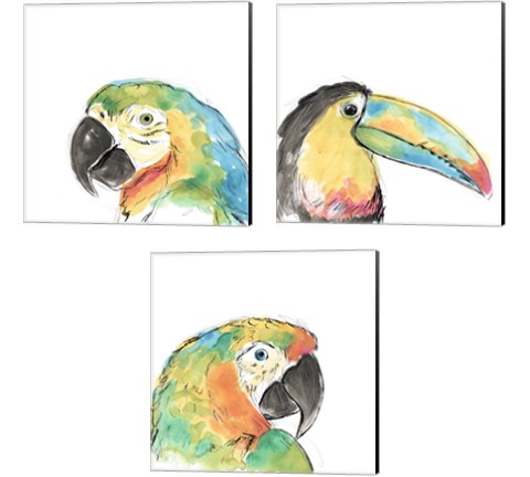 Tropical Bird Portrait 3 Piece Canvas Print Set by June Erica Vess