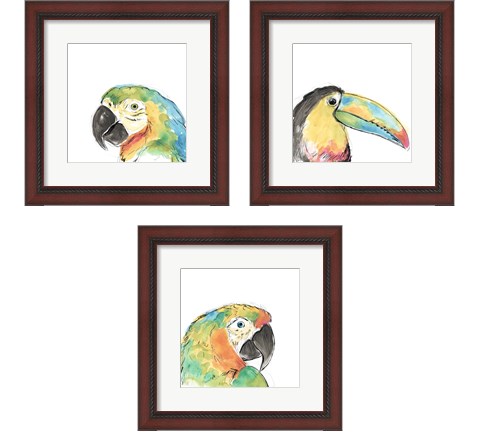 Tropical Bird Portrait 3 Piece Framed Art Print Set by June Erica Vess