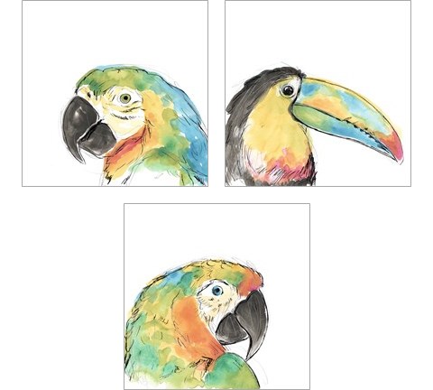 Tropical Bird Portrait 3 Piece Art Print Set by June Erica Vess