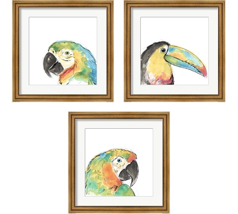 Tropical Bird Portrait 3 Piece Framed Art Print Set by June Erica Vess