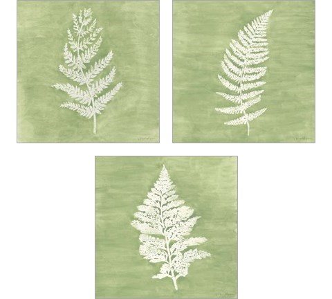 Forest Ferns 3 Piece Art Print Set by Vanna Lam