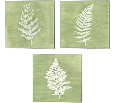 Forest Ferns 3 Piece Canvas Print Set by Vanna Lam