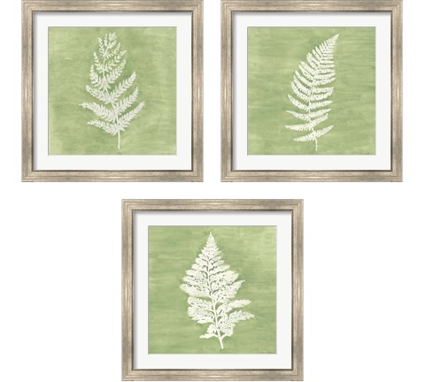 Forest Ferns 3 Piece Framed Art Print Set by Vanna Lam