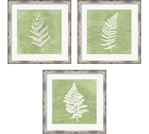 Forest Ferns 3 Piece Framed Art Print Set by Vanna Lam