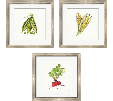 Veggie Market 3 Piece Framed Art Print Set by Anne Tavoletti