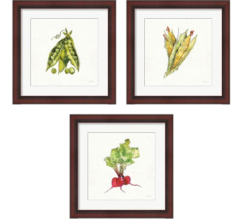 Veggie Market 3 Piece Framed Art Print Set by Anne Tavoletti