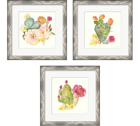 Succulent Desert 3 Piece Framed Art Print Set by Kristy Rice