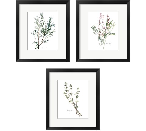 Herb Garden Sketches 3 Piece Framed Art Print Set by Emma Scarvey